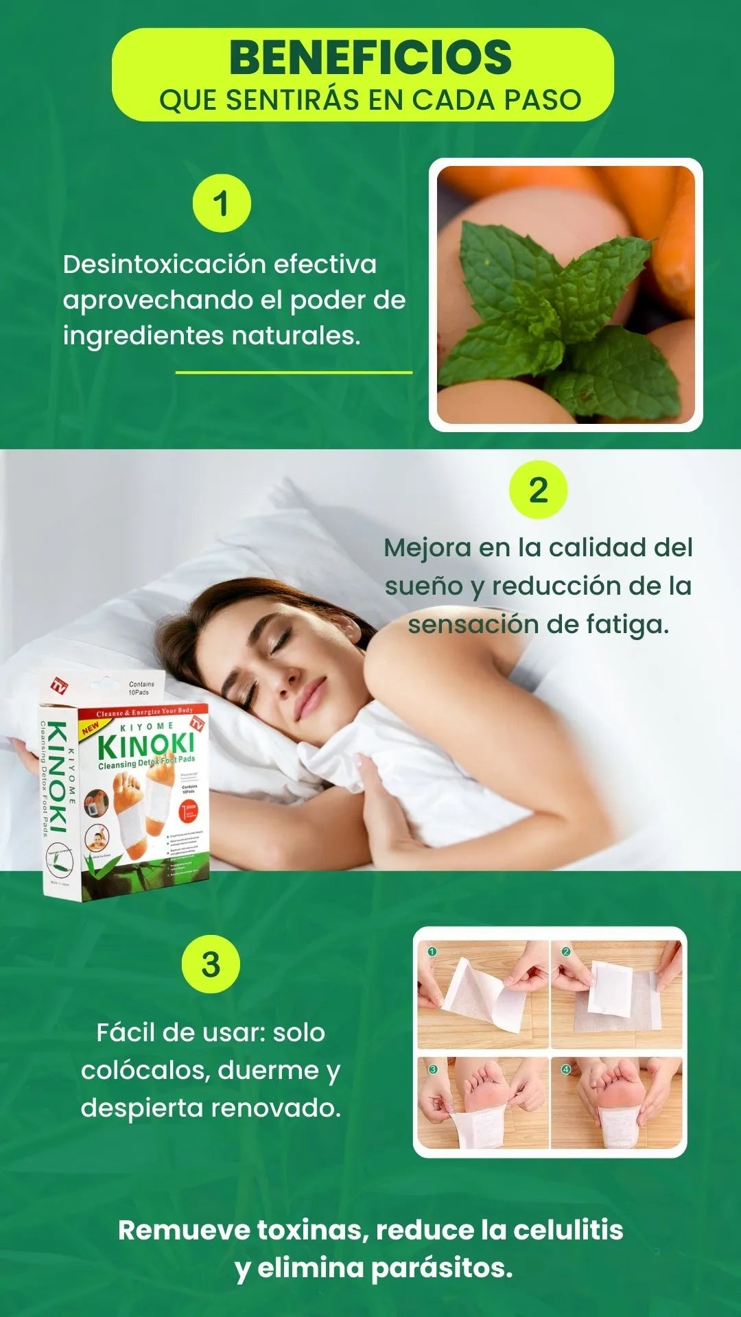 PARCHES DETOX KINOKI