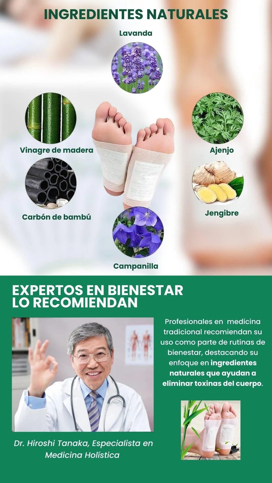 PARCHES DETOX KINOKI