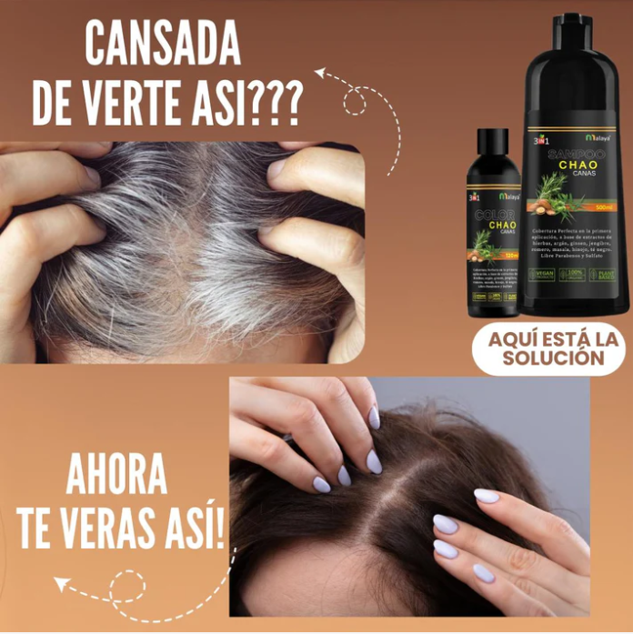 SHAMPOO CHAO  CANAS +TRATAMIENTO