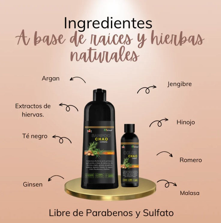 SHAMPOO CHAO  CANAS +TRATAMIENTO
