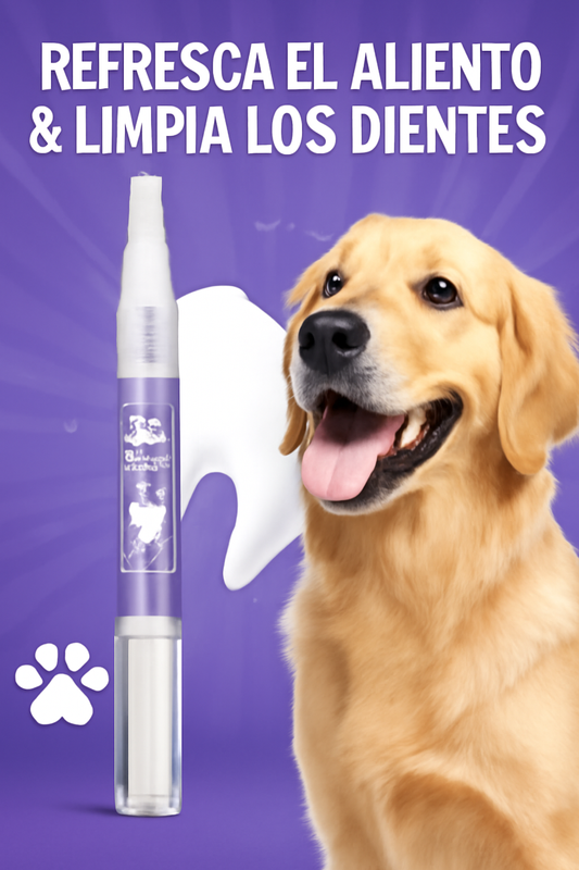 Cepillo blanqueador canino - PetBeauty